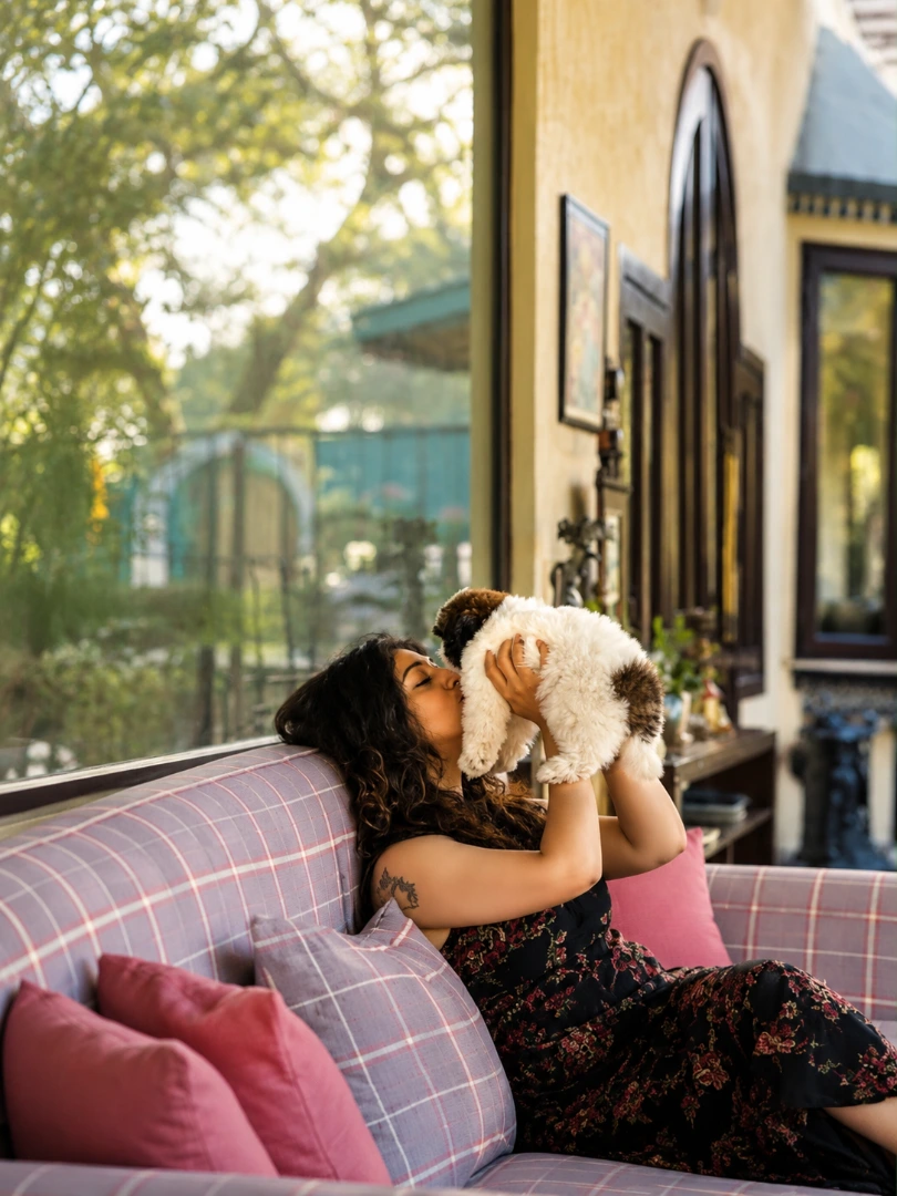 Pets 3